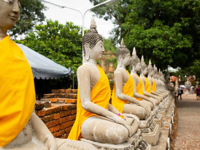 Thailand van noord naar zuid met wilde dieren en strand