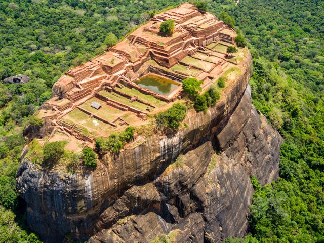 Safari, theeplantages en grottempels in Sri Lanka