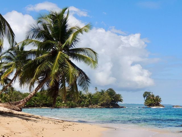 Regenwouden, stranden en dieren in Panama en Costa Rica