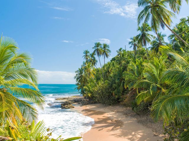 Met de familie op ontdekkingsreis door Costa Rica