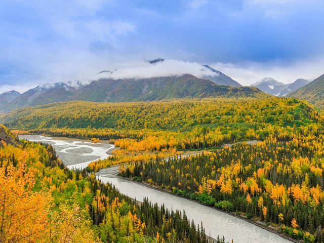 Grizzlyberen, fjorden en goudmijnen in Alaska