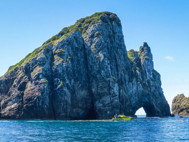 Bergen, gletsjers en Maori's in Nieuw-Zeeland