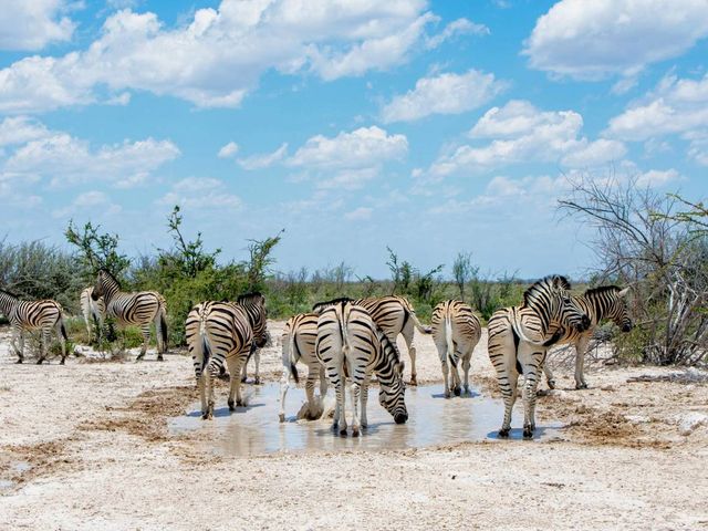 Delta, dieren en duinen in Botswana en Namibië