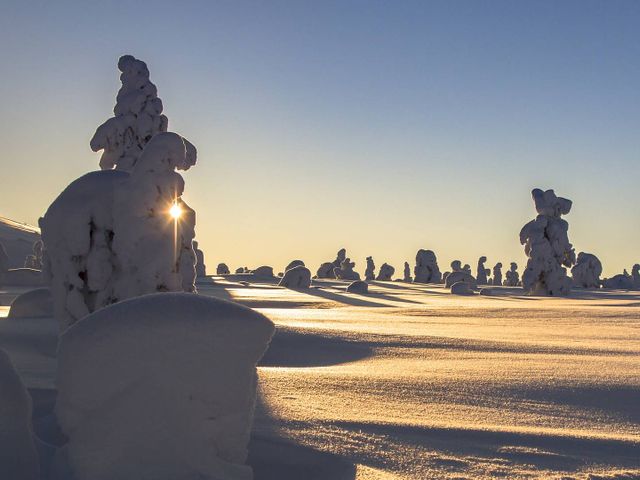 Avontuurlijke noorderlichtreis met kinderen naar Fins Lapland