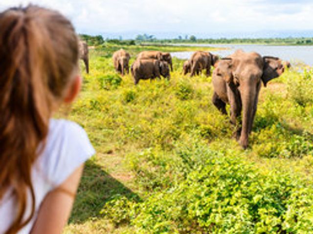 Familiereis Sri Lanka