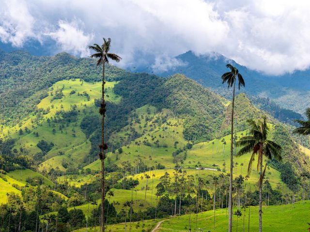 Regenwouden, stranden en koffie in Colombia