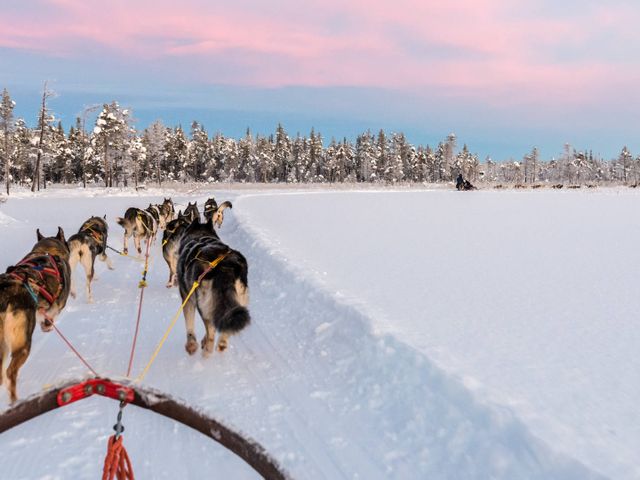 Familieavontuur in een winters Zweeds Lapland