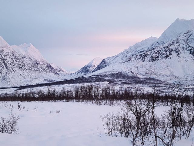 Luxe noorderlichtreis naar de Noorse fjorden