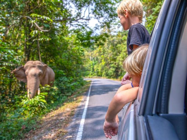 Slingeren tussen stad, tempels, jungle en strand