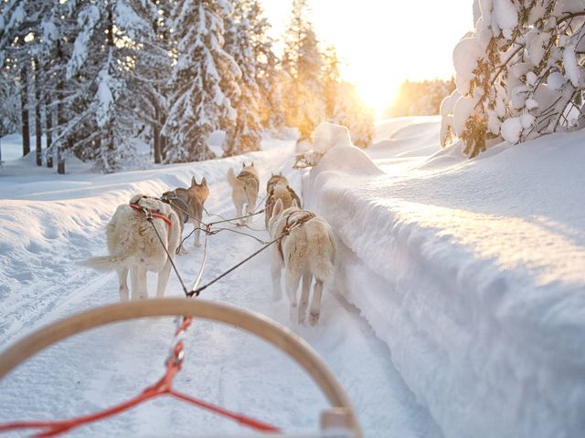 Husky's, Noorderlicht en rendieren in Fins Lapland