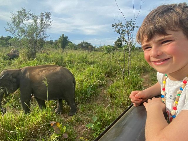 Familiereis naar Sri Lanka in 2 weken