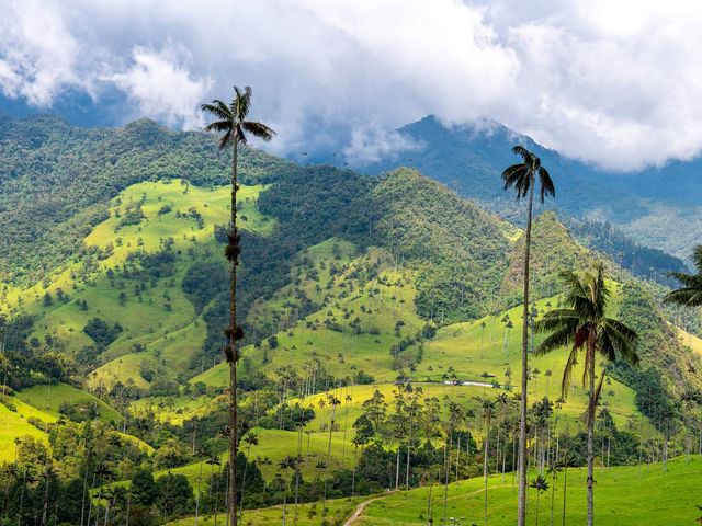 Regenwouden, stranden en koffie in Colombia