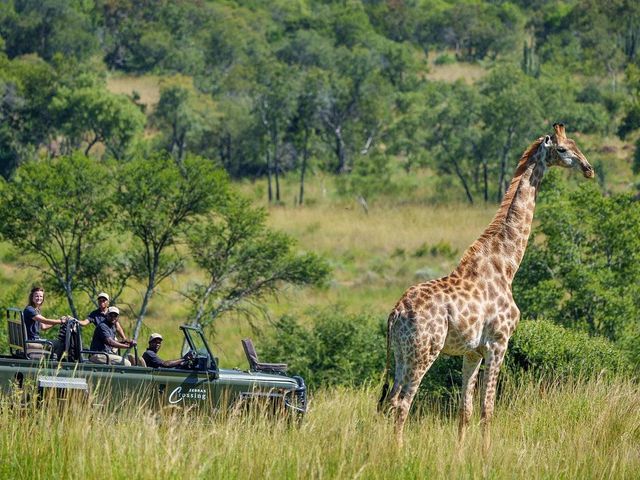 Malariavrije safarireis met de kinderen naar Zuid-Afrika