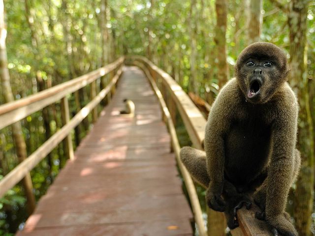 Ontdek Brazilië met tieners: jungle, zandduinen en verborgen stranden