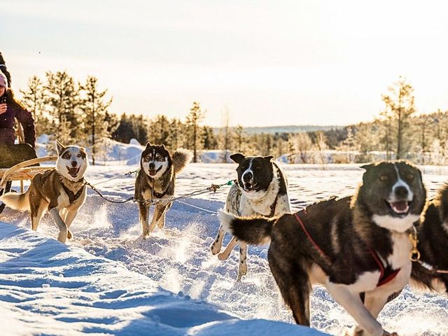 Äkäslompolo – Winteravontuur Fins Lapland