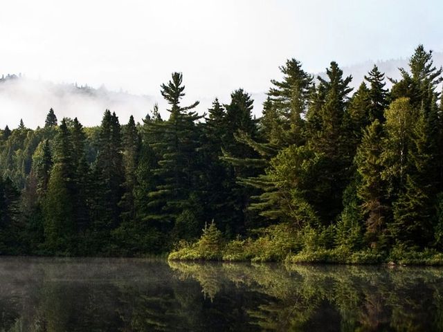 Familieavontuur 3 weken Oost-Canada