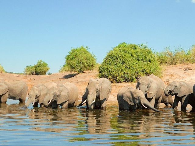 Namibië en Botswana – compleet