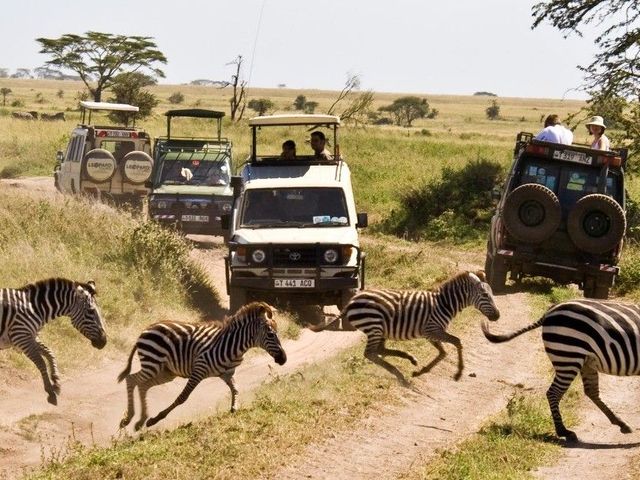 Je Tanzania safari-expeditie