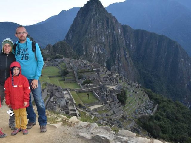 Lama's, de Andes en Machu Picchu in Peru