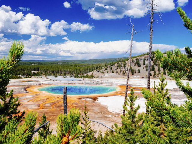Yellowstone, Arches en buffels in Midwest-Amerika