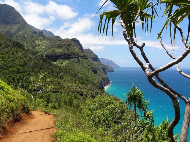 Wuivende palmen, vulkanen en ruige stranden op Hawaii