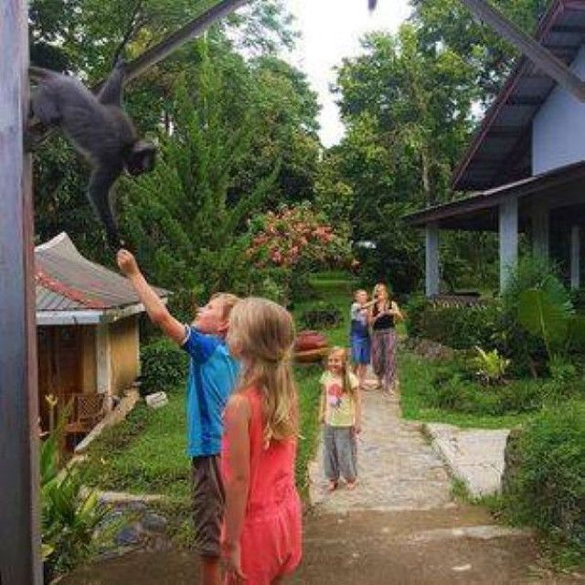 Familiereis Indonesië; De mooiste plekjes van Sumatra en Bali (24 dagen) - Van Verre Family